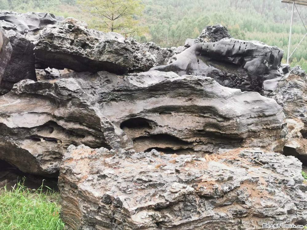 风景石、假山石大量有货，有需要的欢迎联系 - 新手上路 - 株洲生活社区 - 株洲28生活网 zhuzhou.28life.net