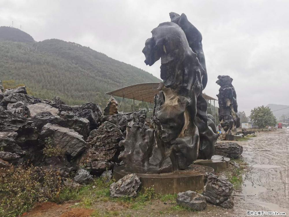 风景石、假山石大量有货，有需要的欢迎联系 - 新手上路 - 株洲生活社区 - 株洲28生活网 zhuzhou.28life.net