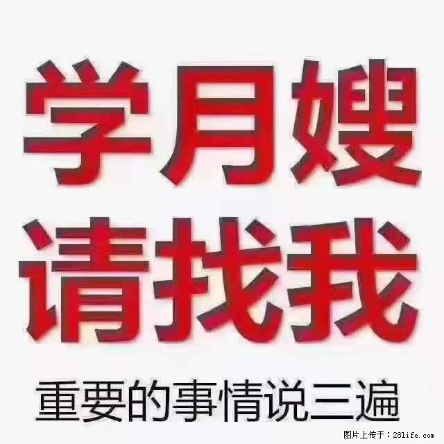 为什么要学习月嫂，育婴师？ - 其他广告 - 广告专区 - 株洲分类信息 - 株洲28生活网 zhuzhou.28life.net