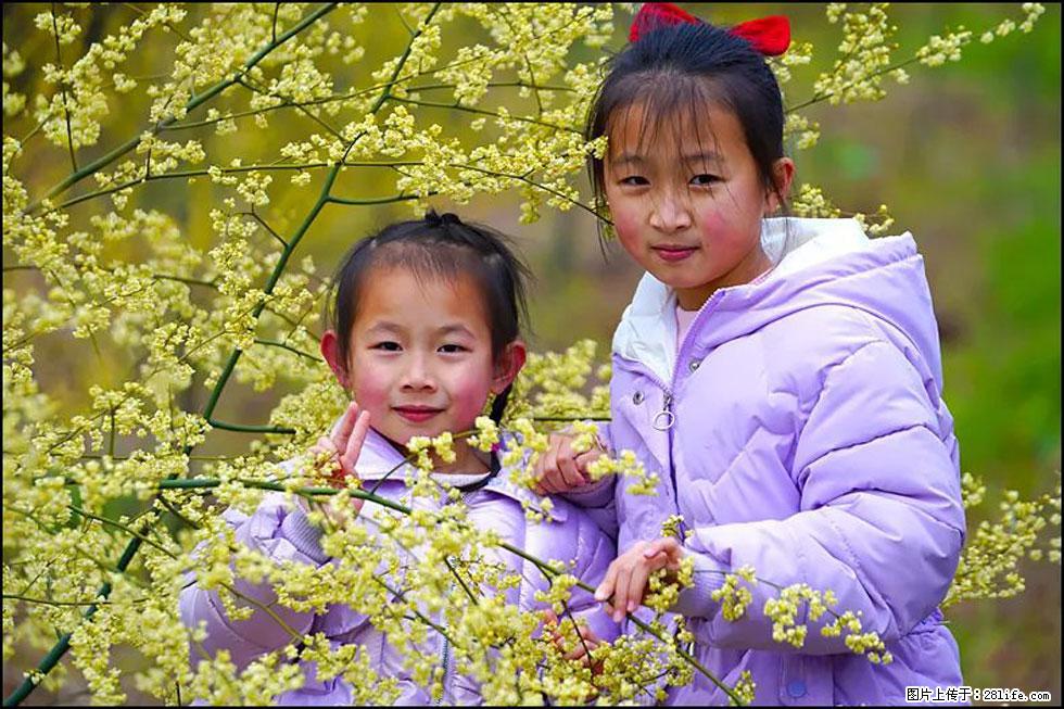 【春天，广西桂林灌阳县向您发出邀请！】米珠山前有片山苍子花在飘香 - 游山玩水 - 株洲生活社区 - 株洲28生活网 zhuzhou.28life.net