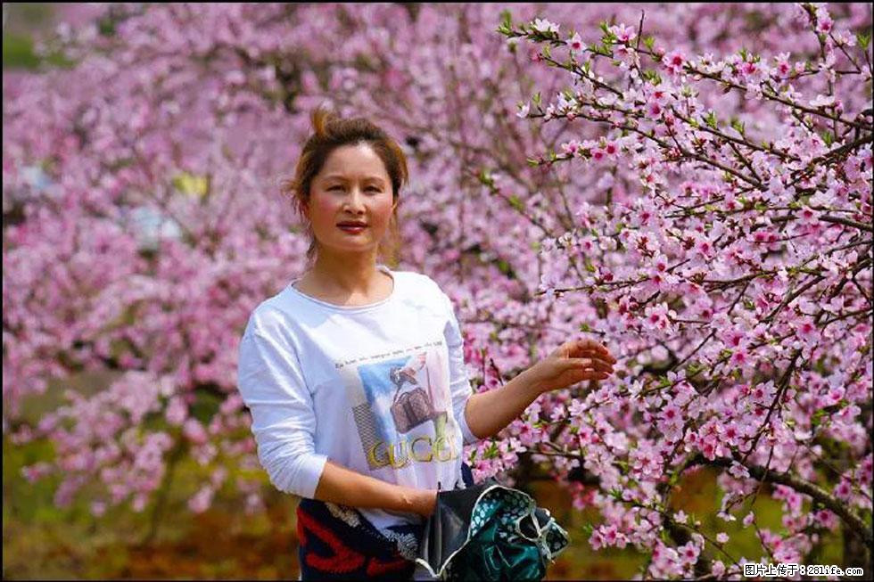 【春天，广西桂林灌阳县向您发出邀请！】官庄村有个醉美的桃花园 - 游山玩水 - 株洲生活社区 - 株洲28生活网 zhuzhou.28life.net