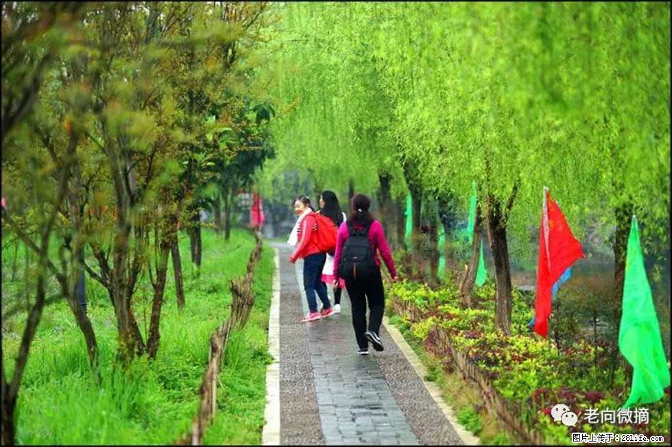 【春天，广西桂林灌阳县向您发出邀请！】江口老街又逢春 - 游山玩水 - 株洲生活社区 - 株洲28生活网 zhuzhou.28life.net