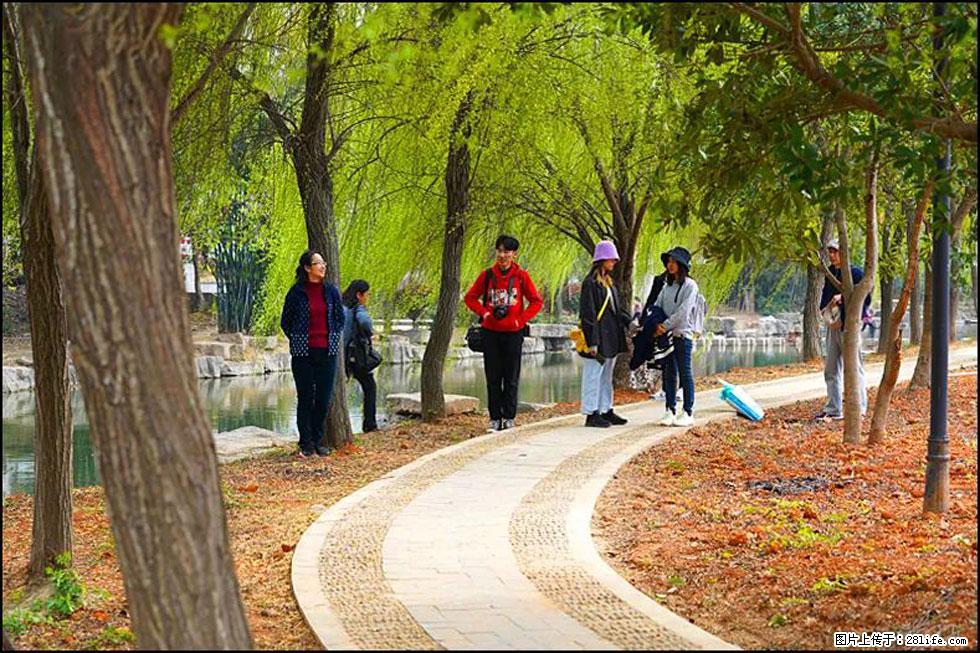 【春天，广西桂林灌阳县向您发出邀请！】江口老街又逢春 - 游山玩水 - 株洲生活社区 - 株洲28生活网 zhuzhou.28life.net