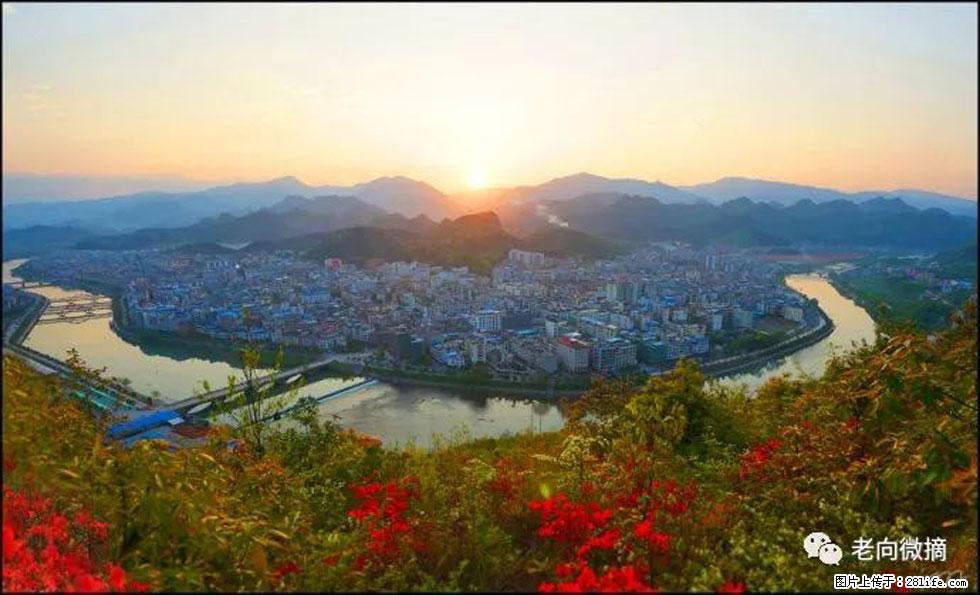 【春天,广西桂林灌阳县向您发出邀请!】登麒麟山,相约映山红 - 游山玩水 - 株洲生活社区 - 株洲28生活网 zhuzhou.28life.net
