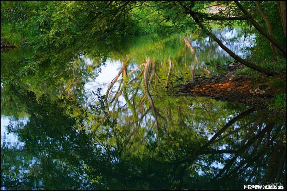 【春天,广西桂林灌阳县向您发出邀请!】熊家寨湿地公园 - 游山玩水 - 株洲生活社区 - 株洲28生活网 zhuzhou.28life.net