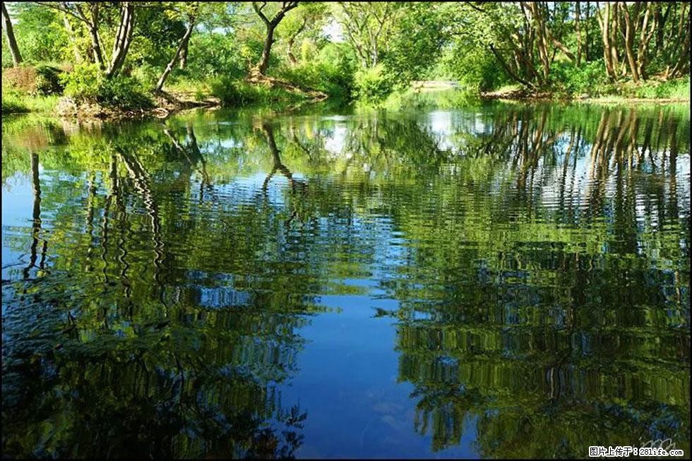 【春天,广西桂林灌阳县向您发出邀请!】熊家寨湿地公园 - 游山玩水 - 株洲生活社区 - 株洲28生活网 zhuzhou.28life.net