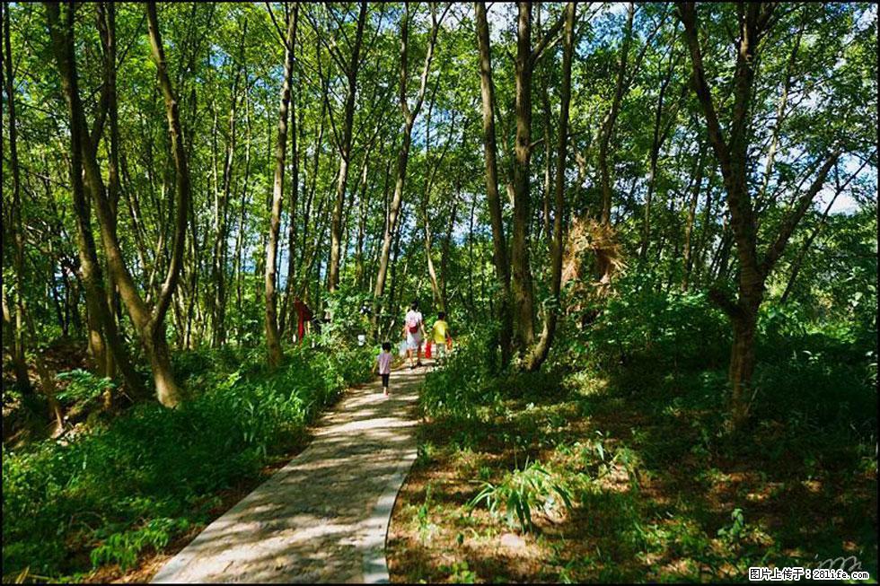 【春天,广西桂林灌阳县向您发出邀请!】熊家寨湿地公园 - 游山玩水 - 株洲生活社区 - 株洲28生活网 zhuzhou.28life.net