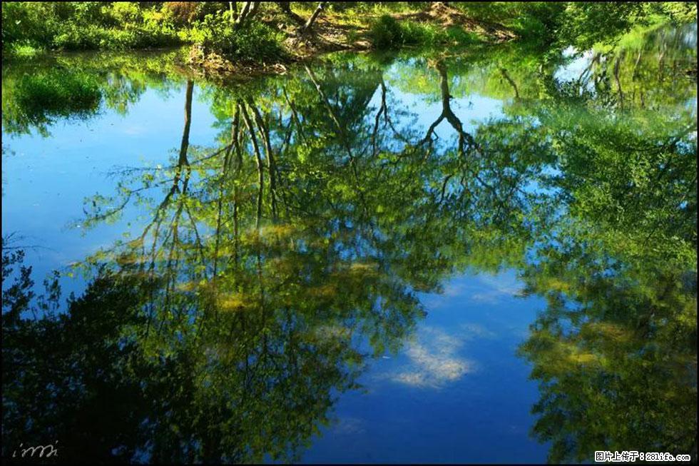 【春天,广西桂林灌阳县向您发出邀请!】熊家寨湿地公园 - 游山玩水 - 株洲生活社区 - 株洲28生活网 zhuzhou.28life.net