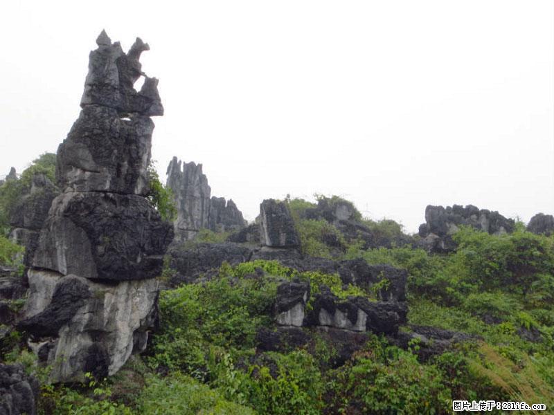 桂林旅游名城景点：灌阳文市石林 - 游山玩水 - 株洲生活社区 - 株洲28生活网 zhuzhou.28life.net