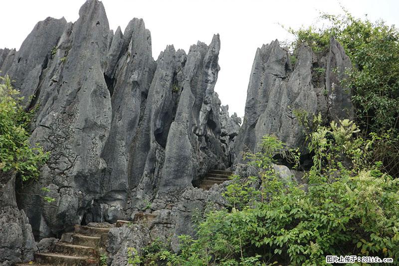 桂林旅游名城景点：灌阳文市石林 - 游山玩水 - 株洲生活社区 - 株洲28生活网 zhuzhou.28life.net