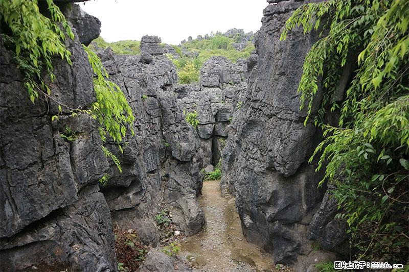 桂林旅游名城景点：灌阳文市石林 - 游山玩水 - 株洲生活社区 - 株洲28生活网 zhuzhou.28life.net