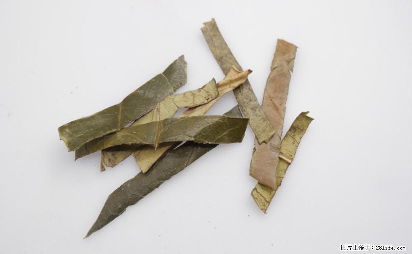 苦丁茶有哪些功效和作用 - 生活百科 - 株洲生活社区 - 株洲28生活网 zhuzhou.28life.net