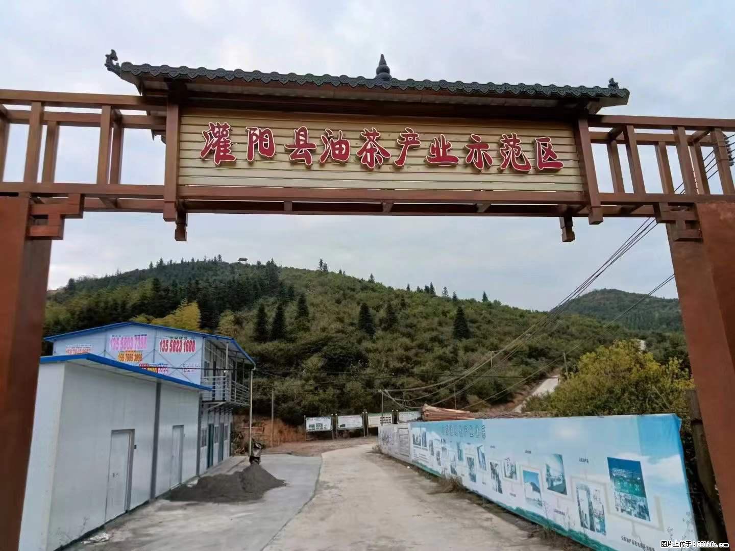 【灌阳县油茶产业示范区】一个有着充实的精神生活的人，对待身外之物自会有一种淡泊的态度 - 土特产 - 饮食特产 - 株洲分类信息 - 株洲28生活网 zhuzhou.28life.net