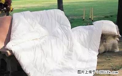 被子有异味？只要这样做，比晒太阳还强100倍！ - 家居生活 - 株洲生活社区 - 株洲28生活网 zhuzhou.28life.net