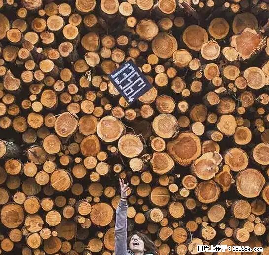 辞掉工作周游世界？现在他们在洗厕所…… - 游山玩水 - 株洲生活社区 - 株洲28生活网 zhuzhou.28life.net
