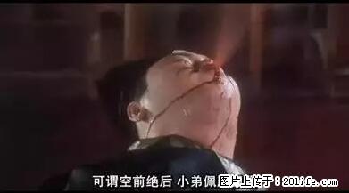 笑癫了！一女的怀孕三年未生，他终于忍不住了... - 娱乐八卦 - 株洲生活社区 - 株洲28生活网 zhuzhou.28life.net