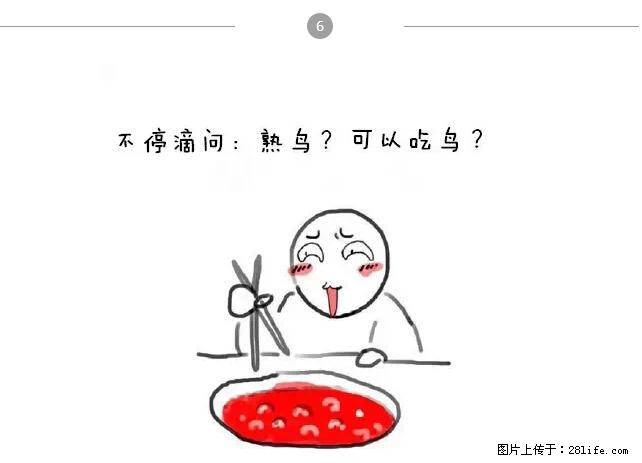 千万不要和这9种哈卵一起吃火锅! - 美食天地 - 株洲生活社区 - 株洲28生活网 zhuzhou.28life.net