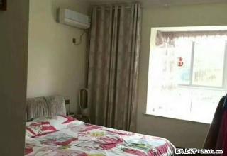 炎帝广场 庐山恋 早安华晨 流金岁月 精装两房仅租1800 - 株洲28生活网 zhuzhou.28life.net