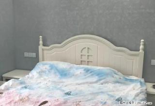 急租 王府井 精装单身公寓 家电齐全 拎包入住 看房方便 - 株洲28生活网 zhuzhou.28life.net