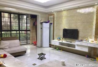 红旗广场 东方明园 精装三室两厅 房东好说话 诚心 出租 - 株洲28生活网 zhuzhou.28life.net