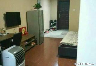市中心 精装公寓 诚心出租 快来 天然气入户 什么都有 - 株洲28生活网 zhuzhou.28life.net