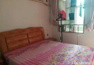 荷塘区红旗广场大润发旁精装两房出租 家电齐全拎包入住 - 株洲28生活网 zhuzhou.28life.net