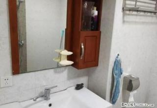 炎帝广场 北师大 庐山春天 精装正规一室一厅 拧包入住 - 株洲28生活网 zhuzhou.28life.net