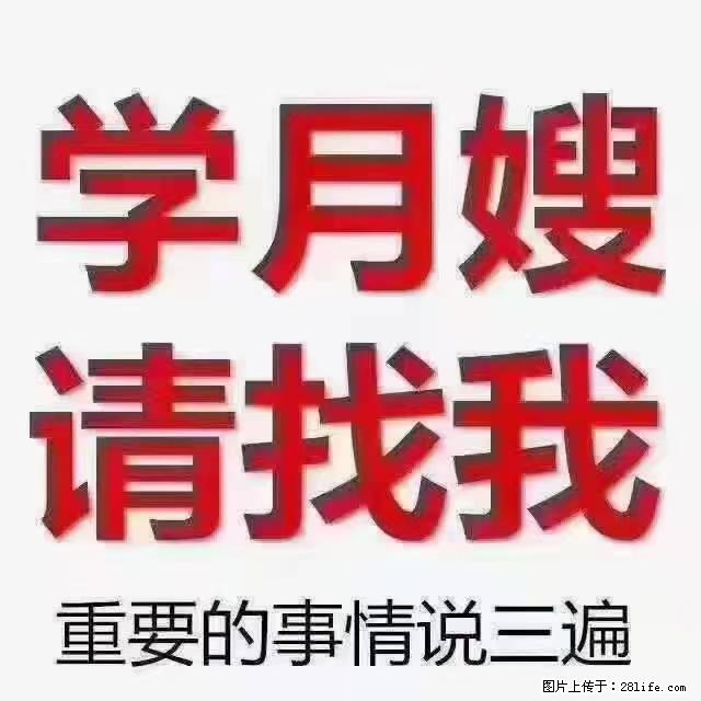 【招聘】月嫂，上海徐汇区 - 职场交流 - 株洲生活社区 - 株洲28生活网 zhuzhou.28life.net