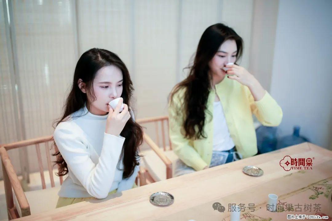 时间果百年古树龙珠普洱生茶 - 购物交流 - 株洲生活社区 - 株洲28生活网 zhuzhou.28life.net