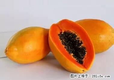 晕车、脚气、牙齿变黄、皮肤粗糙？学会这些三分钟搞定！ - 株洲生活资讯 - 株洲28生活网 zhuzhou.28life.net