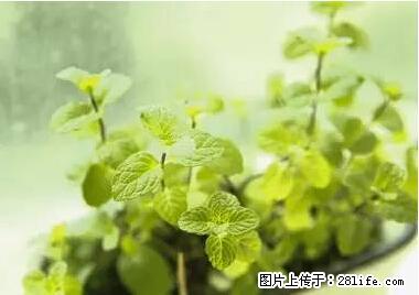 晕车、脚气、牙齿变黄、皮肤粗糙？学会这些三分钟搞定！ - 株洲生活资讯 - 株洲28生活网 zhuzhou.28life.net
