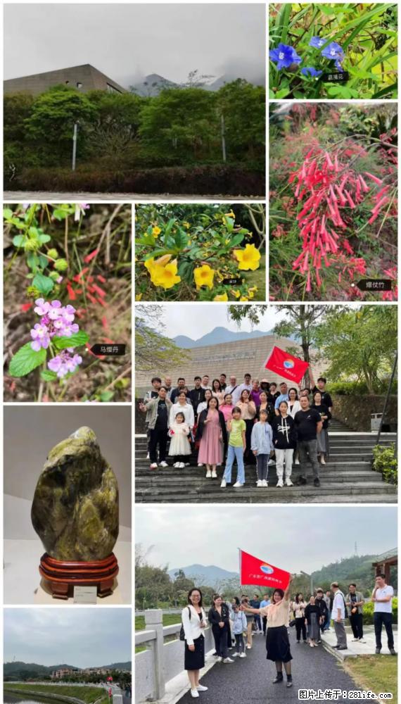 “粤灌文化 美好生活”油茶文化主题活动在广东深圳成功举办 - 株洲生活资讯 - 株洲28生活网 zhuzhou.28life.net