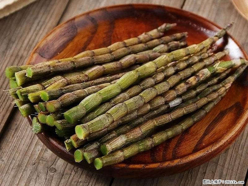 铁皮石斛的作用与功能主治 - 株洲生活资讯 - 株洲28生活网 zhuzhou.28life.net